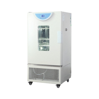 Schimmel-Inkubator MJ